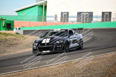 media/Feb-25-2024-Speed Ventures (Sun) [[b9a2a97a4d]]/Mustang Drivers Club/Session 1 (Turns 4 and 5)/